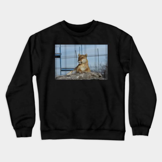 Liger Crewneck Sweatshirt by MarieDarcy